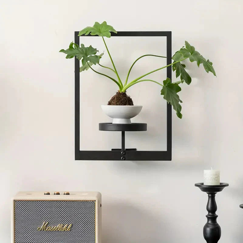 Moldura Plantita | Vindahls®